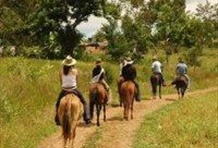 Horseback Riding from Hacienda el Palomar